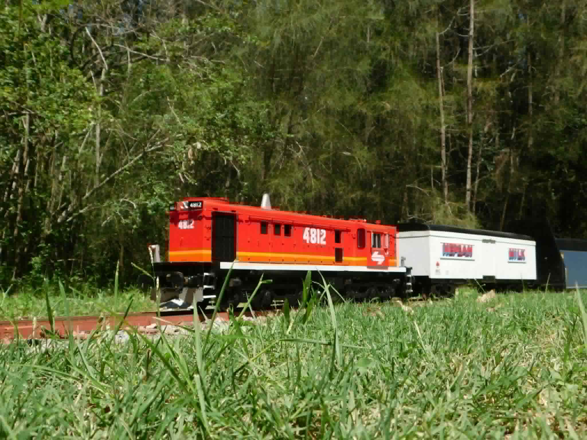 A miniature locomotive on the track at Nurragingy Miniature Railway